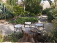 Garden of the Hotel Casa Mona. Family holidays. Yoga and wellness retreat. Accommodation in Mallorca, village of Llubí. 