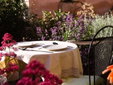 casa mona