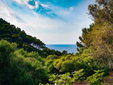 Finca EcoLuxe Playa Valldemossa