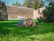 hotel de bienestar en sicilia