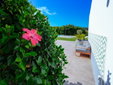Flamboyant bed & breakfast Caldas da Rainha hotel