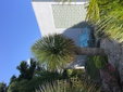 Flamboyant bed & breakfast