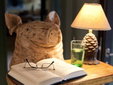 Irma La Douce - reading