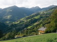 Freiform Private Guesthouse