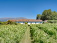 Paço de Lanheses, bed and breakfast y villa en alquiler en el Miño
