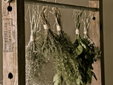 Aromatic herbs at La Saracina, Tuscany - Secretplaces
