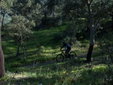 Mountain Bike Trail