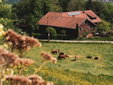 Holiday apartment, Germany, Allgäu, Bavaria