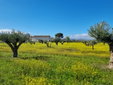 Cortijo de la Seda best boutique hotel in Granada