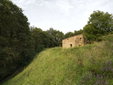 Valley and house