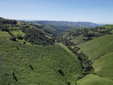 Valley