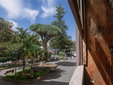 Hotel Emblemático La Casa De La Camelia Laguna Tenerife