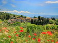 Castello di Fonterutoli tuscany hotel