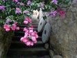 Azenha do Corvo houses Hotel sintra self catering romantic