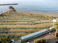 Agriturismo I Freschi